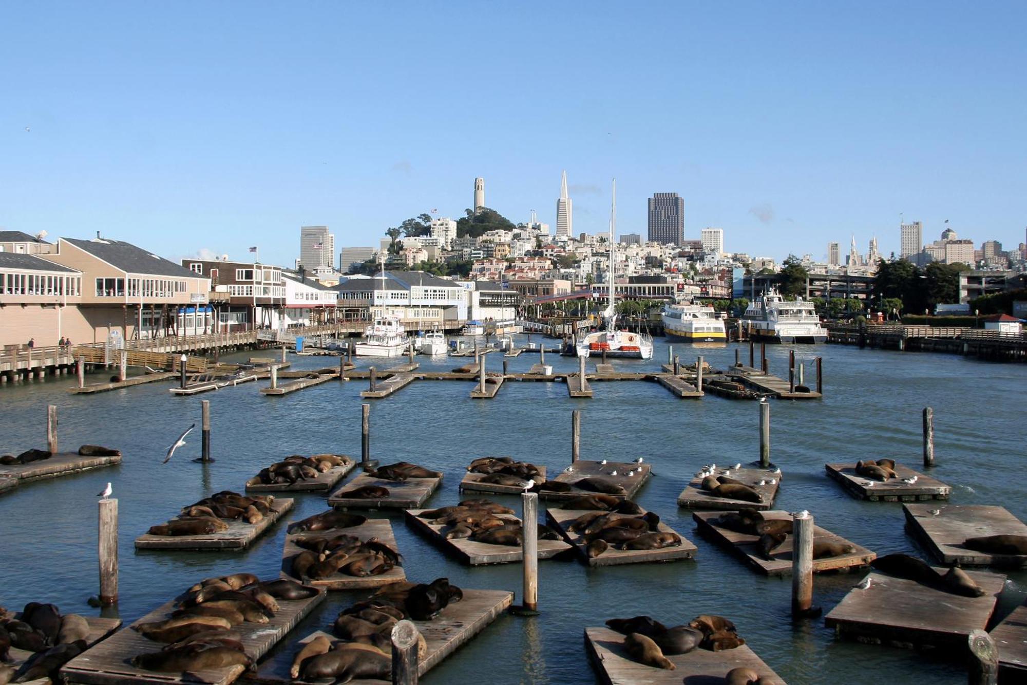 Hotel Zoe Fisherman'S Wharf San Francisco Ngoại thất bức ảnh